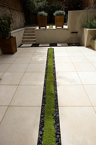 PLANTED_RILL_EDGED_WITH_BLACK_POLISHED_PEBBLES_RUNS_THROUGH_CONTEMPORARY_CLASSIC_GARDEN_DESIGNED_BY_