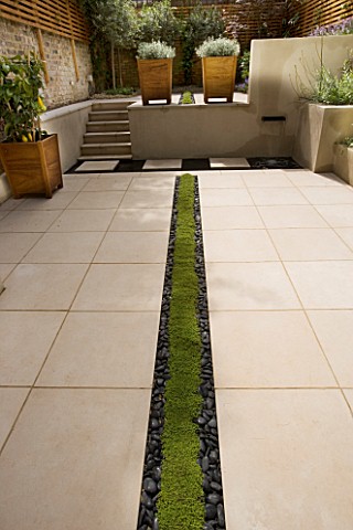 PLANTED_RILL_EDGED_WITH_POLISHED_BLACK_PEBBLES_RUNS_THROUGH_MIDDLE_OF_CONTEMPORARY_GARDEN_DESIGNED_B