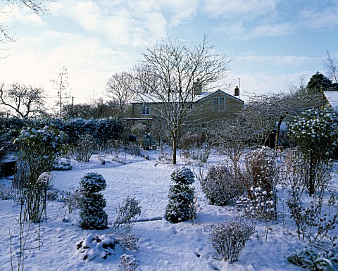 WINTER__WOODCHIPPINGS__NORTHAMPTONSHIRE_VIEW_TO_THE_HOUSE_WITH_THE_GARDEN_IN_SNOW