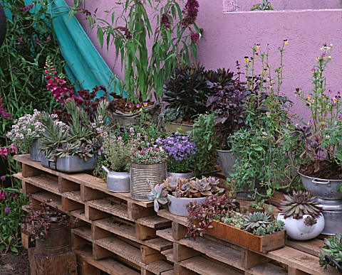 DESIGNER_SHEILA_FISHWICK_RECYCLED_CONTAINERS_PLANTED_UP_ON_A_WOODEN_BENCH_HAMPTON_COURT_2005