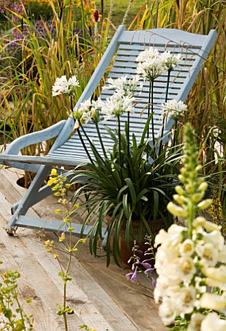 DECK_WITH_BLUE_CHAIR_AND_TERRACOTTA_CONTAINER_WITH_WHITE_AGAPANTHUS_DESIGNERS_CLAIRE_KNIGHT_AND_LIND