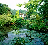 THE WATERLILY POND SURROUNDED BY FOLIAGE AT LOWER HALL  SHROPSHIRE.