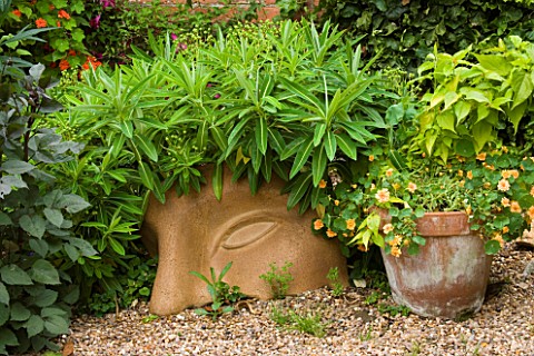 HALL_FARM__LINCOLNSHIRE_EUPHORBIA_STYGIANA_SURROUNDS_A_CERAMIC_SCULPTURE_BY_DENIS_KILGALLAN_OF_RED_D