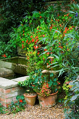 HALL_FARM__LINCOLNSHIRE_WATER_FEATURE_WITH_NASTURTIUMS_AND_CONTAINERS_AROUND
