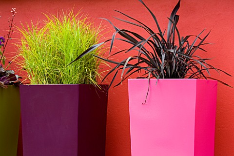 TALL_CONTAINERS_BY_LANDSCAPE_AGAINST_A_RED_WALL_PLANTED_WITH_CAREX_MUSKINGUMENSIS_AND_PHORMIUM_PLATT