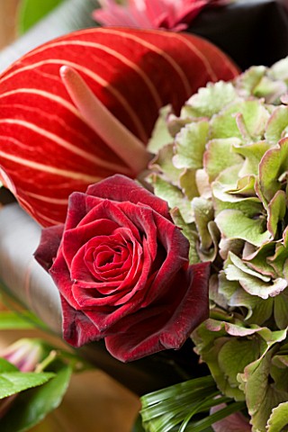 FLOWERBOX_RED_ROSE_AND_HYDRANGEA