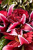 FLOWERBOX DARK PINK LILLIES IN BOUQUET WITH ROSES AND HYDRANGEA