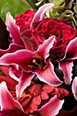 FLOWERBOX DARK PINK LILLIES IN BOUQUET WITH ROSES AND GERBERA (EXCLUSIVE)