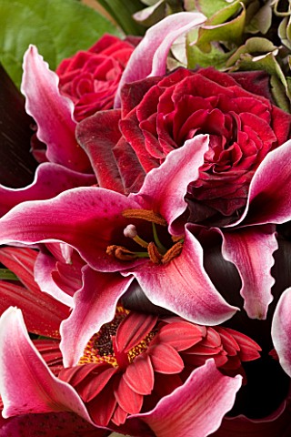 FLOWERBOX_DARK_PINK_LILLIES_IN_BOUQUET_WITH_ROSES_AND_GERBERA_EXCLUSIVE