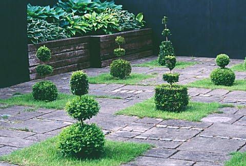 RIDLERS_GARDEN__SWANSEA__WALES_COURTYARD_WITH_YEW_TOPIARY_SHAPES__RAISED_BED_WITH_SLEEPERS_PLANTED_W
