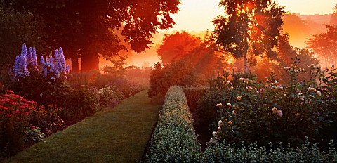 EARLY_MORNING_SUNLIGHT_ON_PARTERRE_AND_KLIMT_BORDER_AT_PETTIFERS__OXFORDSHIRE_DAWN