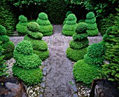 RIDLERS GARDEN  SWANSEA  WALES: YEW HEDGES AND BOX SPIRALS BESIDE A GRAVEL PATH : DESIGNER: TONY RIDLER