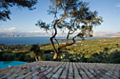 VIEW OF THE ALBANIAN MOUNTAINS FROM THE TERRACE WITH AN OLIVE TREE IN THE FOREGROUND: GINA PRICES GARDEN  CORFU