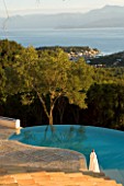 VIEW OF THE ALBANIAN MOUNTAINS FROM THE TERRACE WITH AN OLIVE TREE AND INFINITY SWIMMING POOL IN THE FOREGROUND: GINA PRICES GARDEN  CORFU