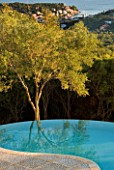 VIEW TO THE COAST OF CORFU FROM THE TERRACE WITH AN OLIVE TREE AND INFINITY SWIMMING POOL IN THE FOREGROUND: GINA PRICES GARDEN  CORFU
