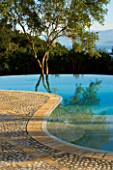 VIEW OF THE ALBANIAN MOUNTAINS WITH  AN OLIVE TREE AND INFINITY SWIMMING POOL IN THE FOREGROUND: GINA PRICES GARDEN  CORFU