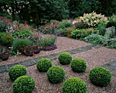 MAYROYD MILL HOUSE  YORKSHIRE: DESIGNERS: RICHARD EASTON AND STEVE MACKAY - BOX BALLS IN GRAVEL WITH HERBACEOUS PERENNIAL BORDERS IN THE BACKGROUND