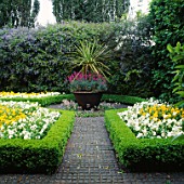TILED PATH BETWEEN BOX-EDGED BEDS OF PANSIES  LEADING TO LARGE URN WITH CORDYLINE. TURN END GARDEN  BUCKS.