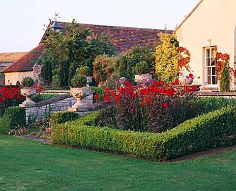 LADY_FARM__SOMERSET_TERRACE_BY_THE_BACK_OF_THE_HOUSE_WITH_BOX_HEDGING__STEPS_AND_DAHLIA_BISHOP_OF_LL