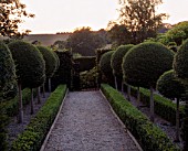 VIEW ALONG GRAVEL PATH FLANKED BY BOX HEDGES AND LOLLIPOP TOPIARY AT LADY FARM  SOMERSET