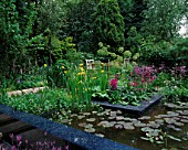 CHELSEA FLOWER SHOW 2005: THE REAL RUBBISH GARDEN  DESIGNER: CLAIRE WHITEHOUSE. WILDLIFE POND / POOL WITH YELLOW IRISES AND PINK PRIMULAS