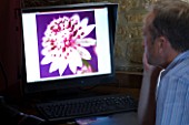 CLIVE NICHOLS LOOKING AT A FLOWER IMAGE ON THE COMPUTER