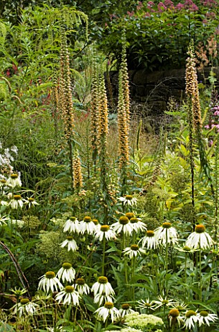 MAYROYD_MILL_HOUSE__YORKSHIRE_DESIGNERS_RICHARD_EASTON_AND_STEVE_MACKAY_ECHINACEA_WHITE_SWAN_AND_DIG