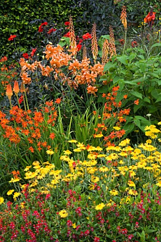 SUMMER_PLANT_COMBINATION_WOLLERTON_OLD_HALL__SHROPSHIRE_HOT_COLOURED_TROPICAL_BORDER_WITH_CROCOSMIA_