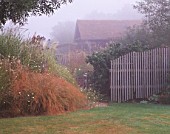 MISTY MORNING AT MARCHANTS HARDY PLANTS  SUSSEX - STIPA ARUNDINACEA  MISCANTHUS SINENSIS STRICTUS WITH PLANT PAVILION BEHIND