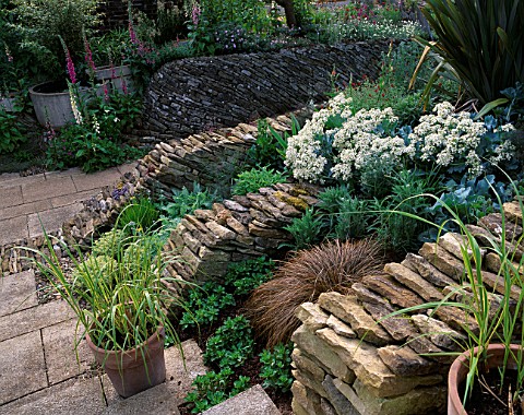 WINGWELL_NURSERY__RUTLAND_WALL_AT_THE_BACK_OF_THE_HOUSE_WITH_CRAMBE_MARITIMA