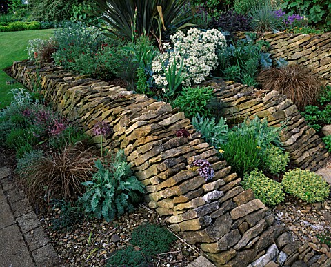 WINGWELL_NURSERY__RUTLAND_WALL_AT_THE_BACK_OF_THE_HOUSE_WITH_CRAMBE_MARITIMA__PHORMIUM__STACHYS__ALL