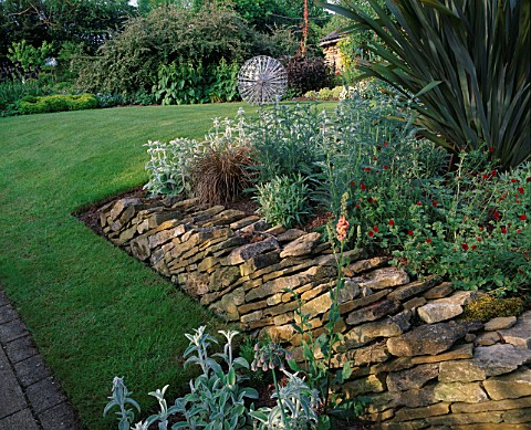 WINGWELL_NURSERY__RUTLAND_WALL_AT_THE_BACK_OF_THE_HOUSE_WITH_POTENTILLAS__STACHYS_AND_IN_BACKGROUND_