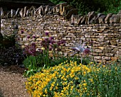 WINGWELL NURSERY  RUTLAND: STONE WALL WITH BORDER OF ALLIUMS AND STACHYS AND GLASS SCULPTURE BY NEIL WILKIN