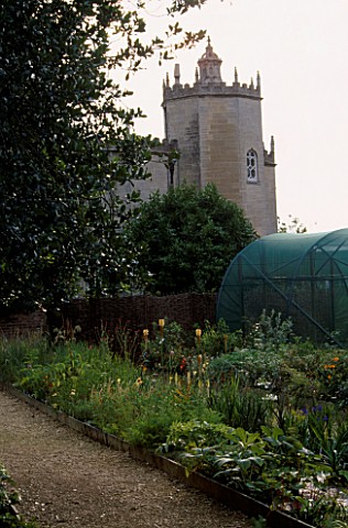 PAN_GLOBAL_PLANTS__GLOUCESTERSHIRE_VIEW_OF_FRAMPTON_COURT_ORANGERY_FROM_THE_NURSERY_BEDS