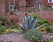 PAN GLOBAL PLANTS  GLOUCESTERSHIRE: NICK MACER STANDS BEHIND A MASSIVE AGAVE AMERICANA IN THE WALLED GARDEN