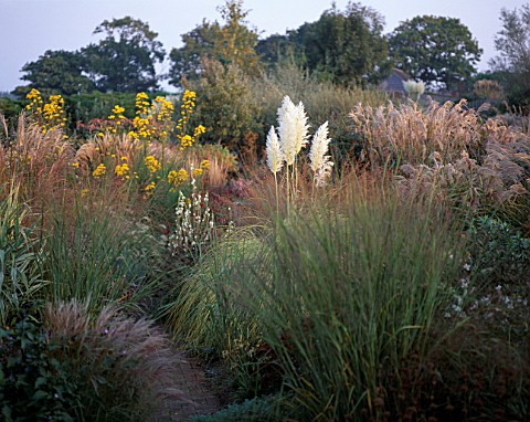 AUTUMN_BORDER_OF_MIXED_GRASSES_AND_PERENNIALS_BESIDE_BRICK_PATH__AT_MARCHANTS_HARDY_PLANTS__SUSSEX__