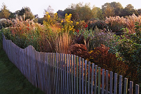 OCTOBER_BORDER_OF_MIXED_GRASSES_AND_PERENNIALS_BESIDE_PICKET_FENCE__AT_MARCHANTS_HARDY_PLANTS__EAST_