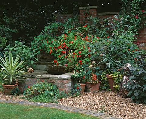 HALL_FARM__LINCOLNSHIRE_GRAVEL_GARDEN_WITH_WATER_FEATURE_SURROUNDED_BY_NASTURTIUMS