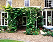 HALL FARM  LINCOLNSHIRE: GRAPE VINES SMOTHERING METAL CANOPY AT THE FRONT OF THE HOUSE