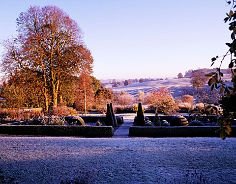 VIEW_ACROSS_FROSTED_PARTERRE_TO_OPEN_COUNTRYSIDE_AT_PETTIFERS__TOPIARY