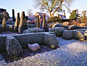 PETTIFERS  OXFORDSHIRE: THE PARTERRE IN FROST WITH SCULPTURE BY BRIONY LAWSON. WINTER  TOPIARY
