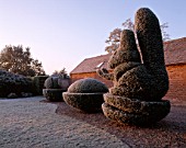 PARSONAGE  WORCESTERSHIRE: FROSTED TOPIARY RABBIT BESIDE THE LAWN. WINTER