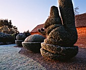 PARSONAGE  WORCESTERSHIRE: FROSTED TOPIARY RABBIT BESIDE THE LAWN. WINTER
