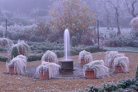 PARSONAGE__OMBERSLEY__WORCESTERSHIRE_BOX_EDGED_PARTERRE_ON_OLD_TENNIS_COURT_IN_WINTER_WITH_FROSTY_TE