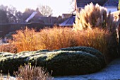GARDEN DESIGNED BY DUNCAN HEATHER: FROSTY BORDER WITH PAMPAS GRASS  GRASSES AND HEBE