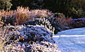 GARDEN DESIGNED BY DUNCAN HEATHER: FROSTY BORDER WITH EUPHORBIAS AND GRASSES