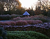 GARDEN DESIGNED BY DUNCAN HEATHER: THE SUMMERHOUSE SEEN ACROSS FROSTED GRASSES  SEDUMS AND HEBES. WINTER