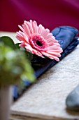 DESIGN BY CLARE MATTHEWS: OUTDOOR TABLE SETTING WITH STONE TABLE MAT AND GERBERA DECORATED NAPKIN
