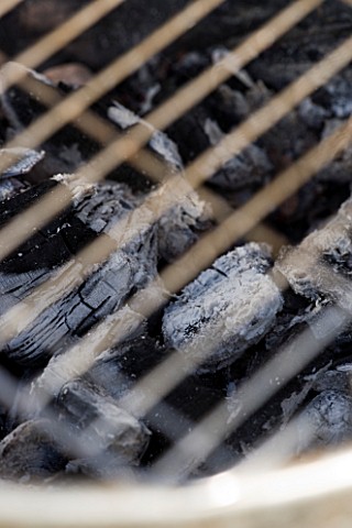 BARBEQUE_PROJECT_COALS_BURNING_WHITE_UNDER_METAL_GRILL