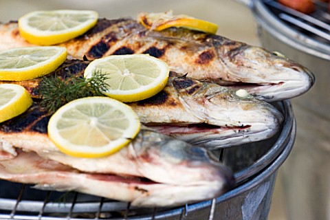 BARBEQUE_PROJECT_FRESHLY_BARBEQUES_SEA_BASS_GARNISHED_WITH_LEMON_AND_FENNEL